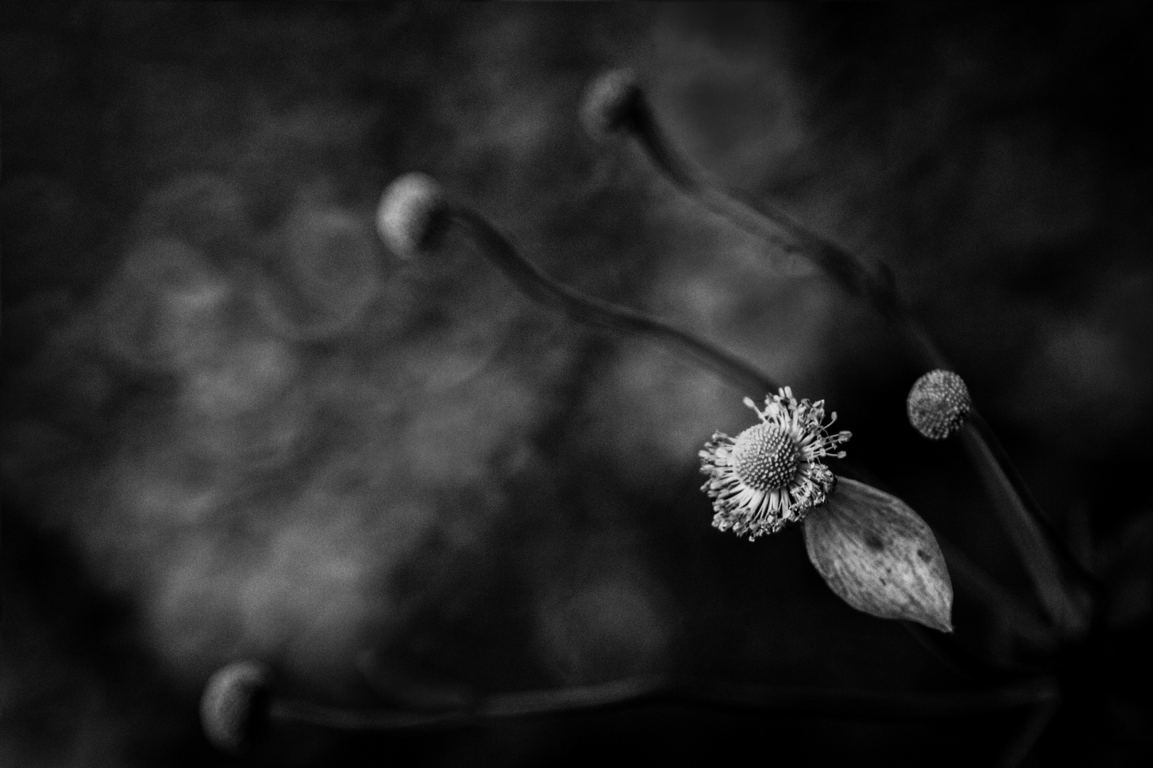 Eine kleine Herbstmelancholie