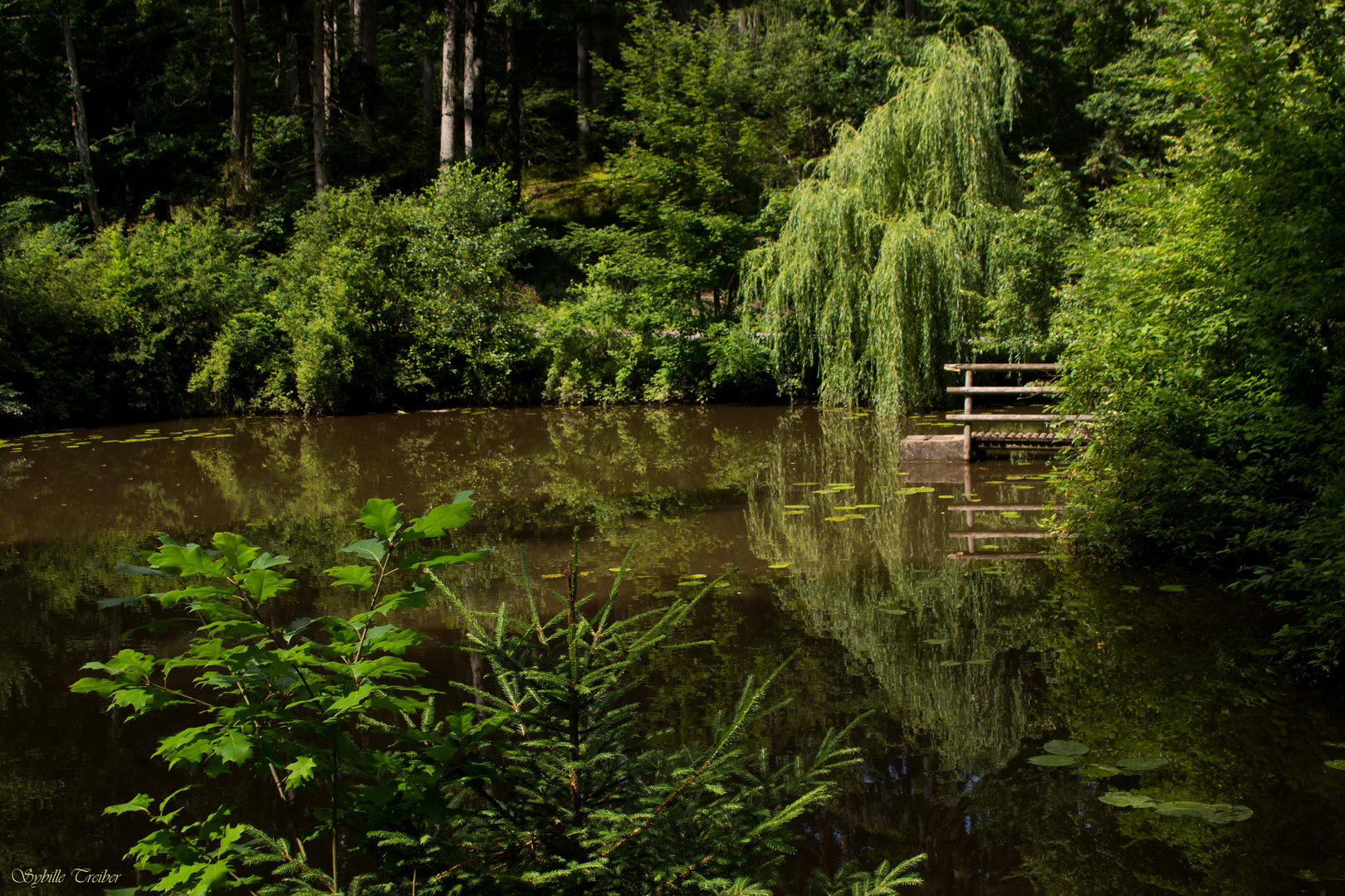 Eine kleine Idylle