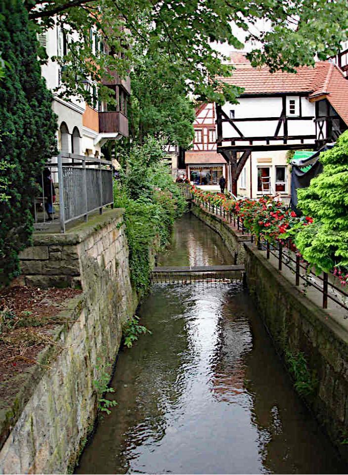 eine kleine idylle in der Großstadt