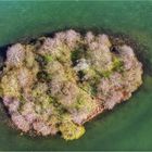 Eine kleine Insel im Püttersee... 