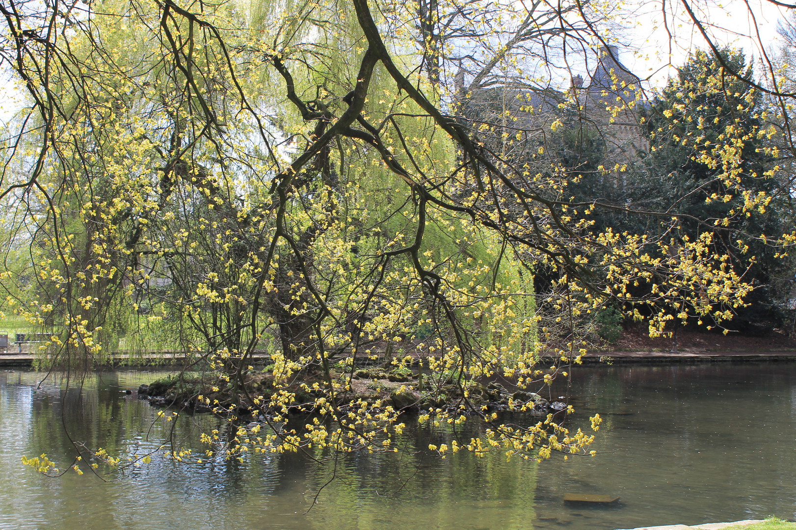 Eine kleine Insel im See