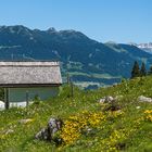 Eine kleine Kapelle.