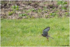 Eine kleine Mahlzeit..... 