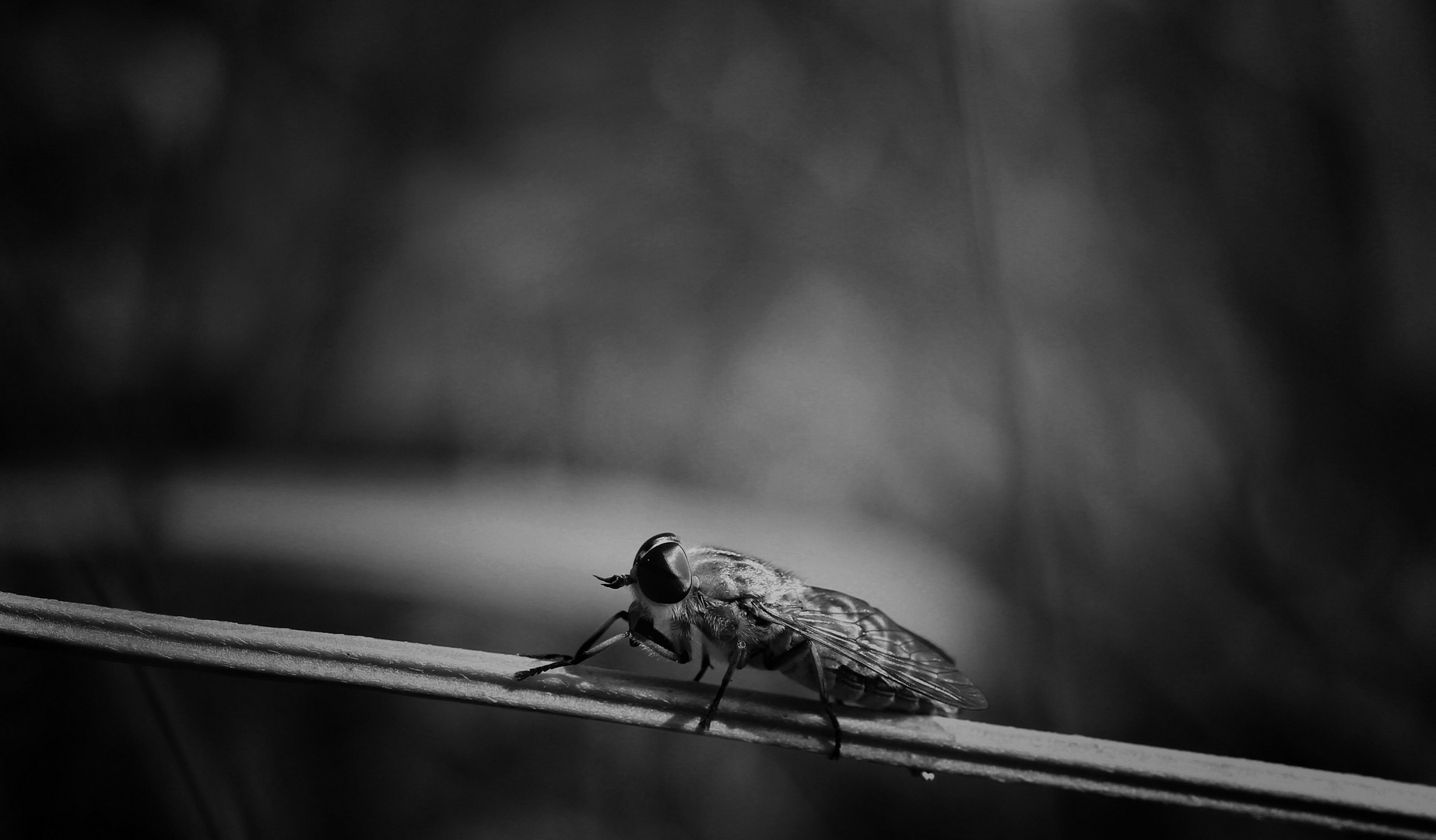 --------  eine kleine Pause  -------