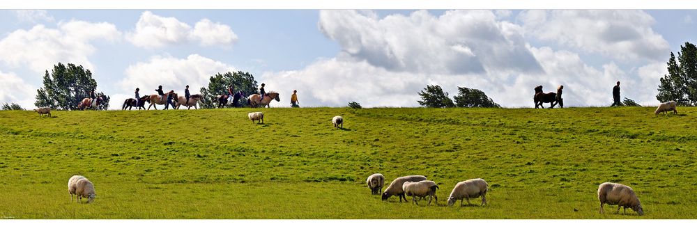 Eine kleine Ponykarawane