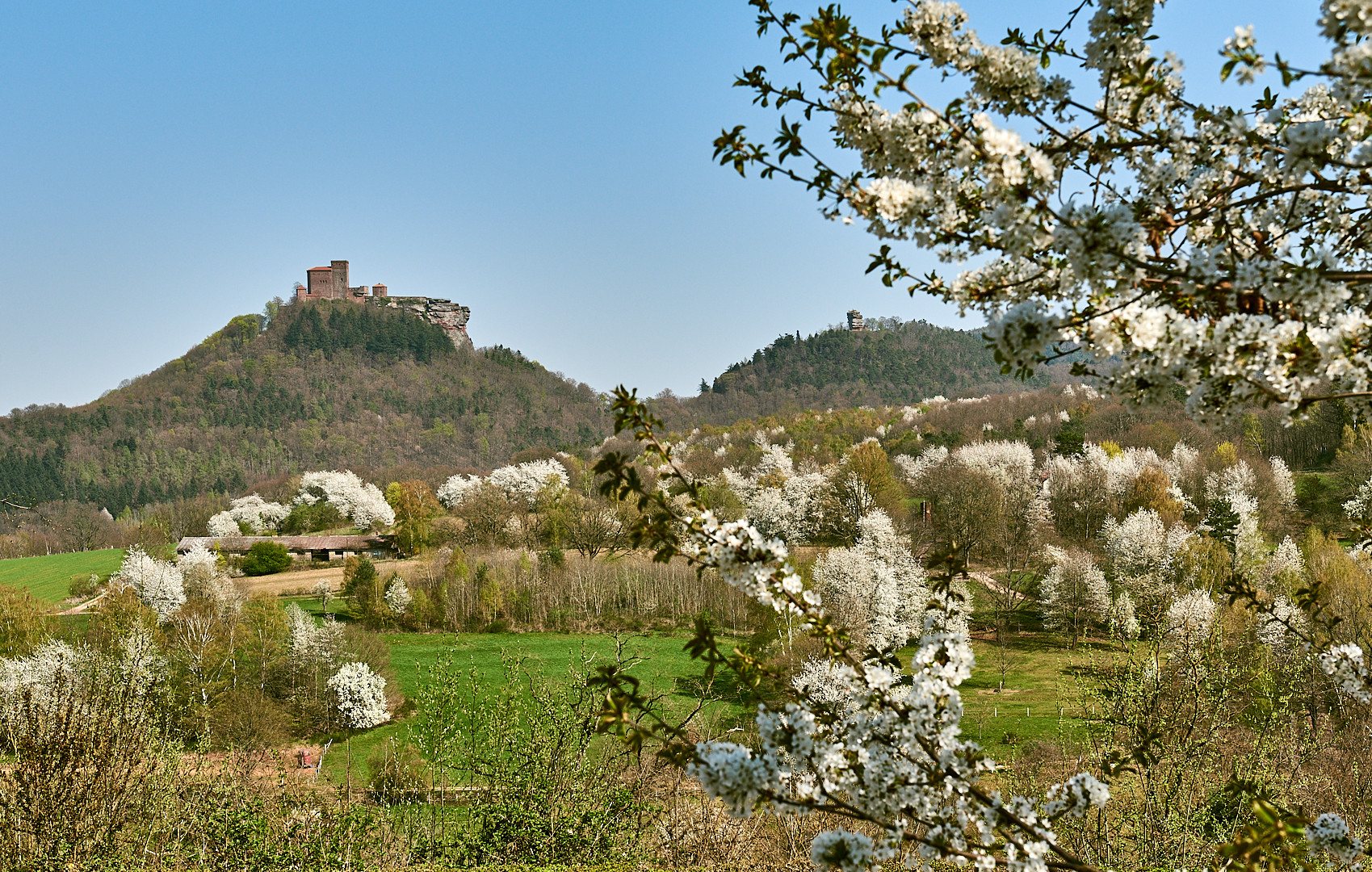 Eine kleine Reise in den Farbenrausch habe ich für Euch aufgenommen - Schönheit und Kraft und den...