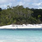 Eine kleine Sandinsel im Lake Mc Kenzie