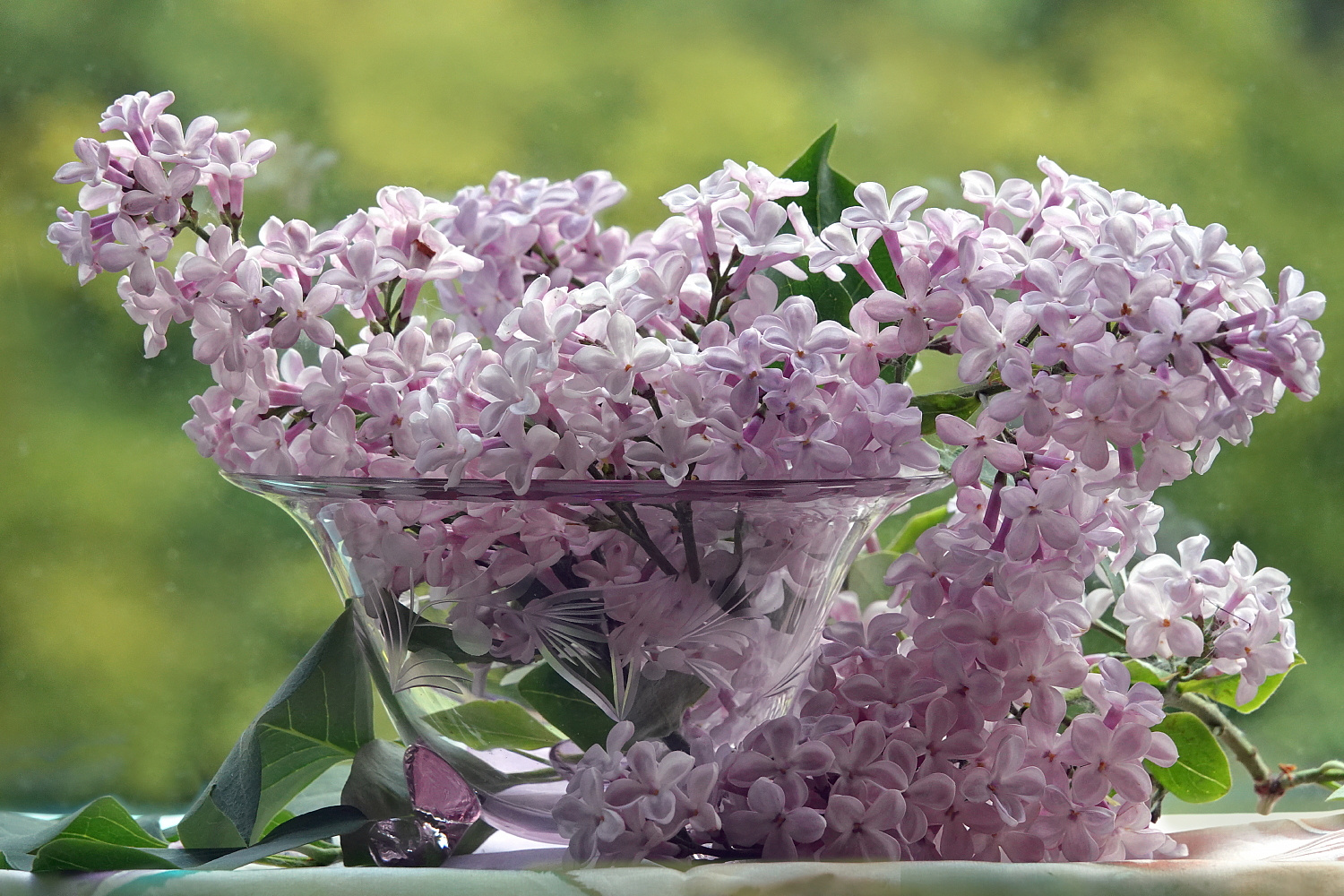 Eine kleine Schale mit Fliederblüten