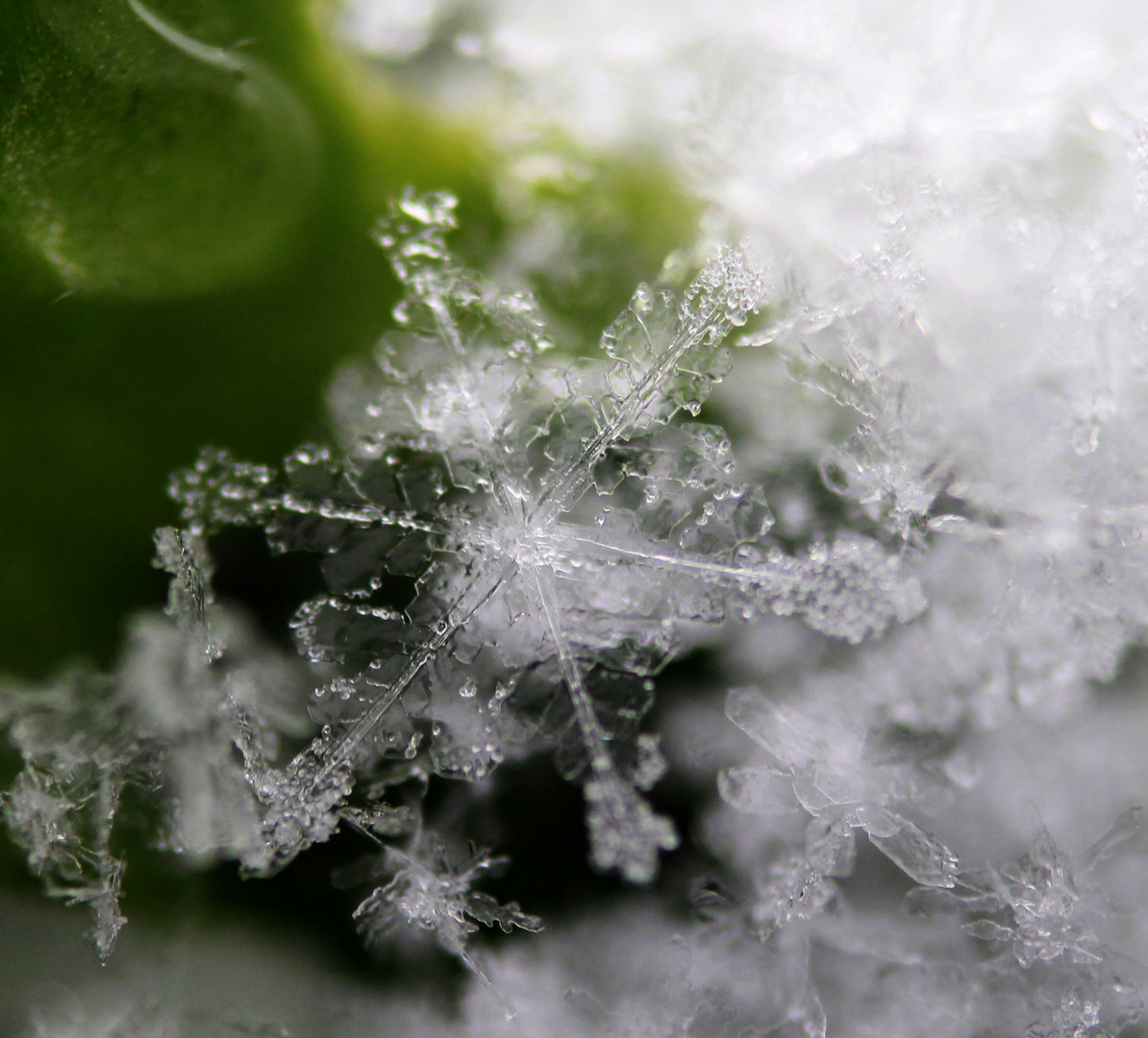 eine kleine Schneeflocke