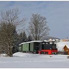 Eine kleine Schwarze im Schnee