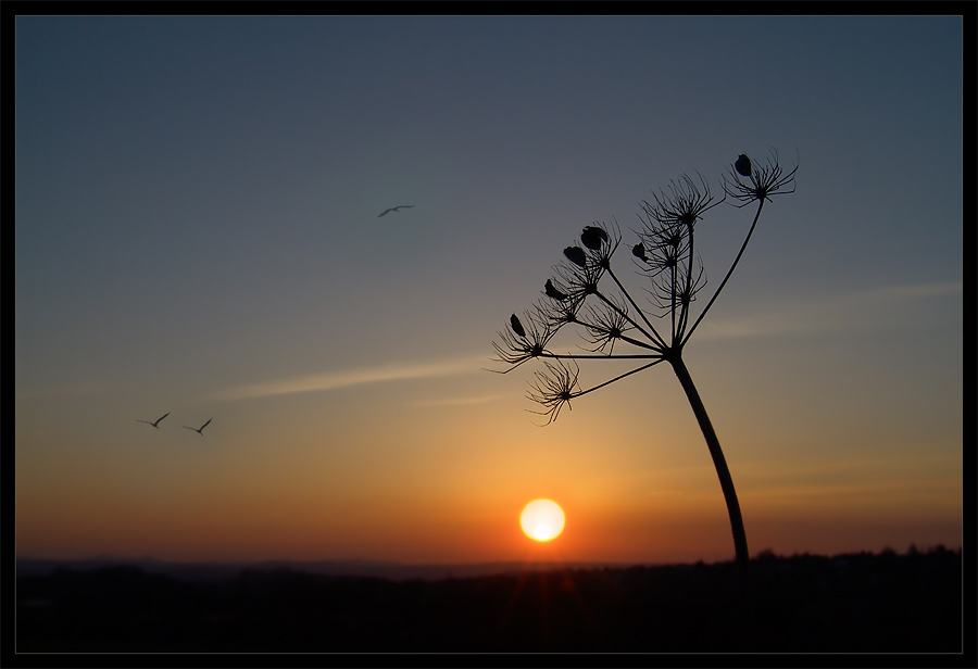 Eine kleine Sehnsucht ...