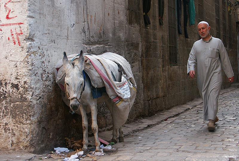 Eine kleine Städtereise durch Syrien...(12)