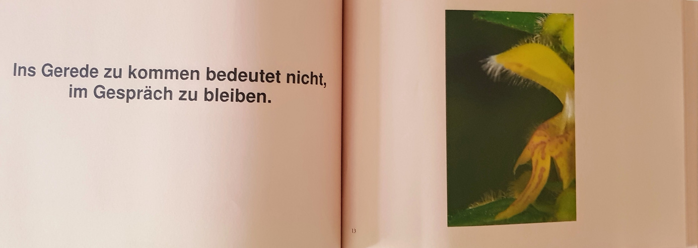 Eine kleine Vorschau