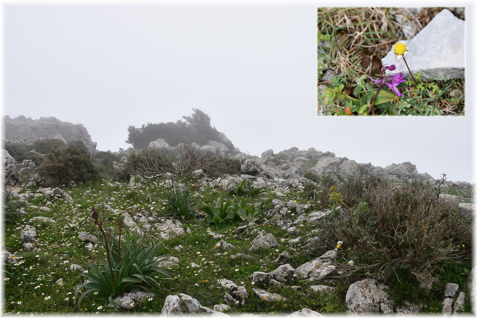 Eine kleine Wanderung 