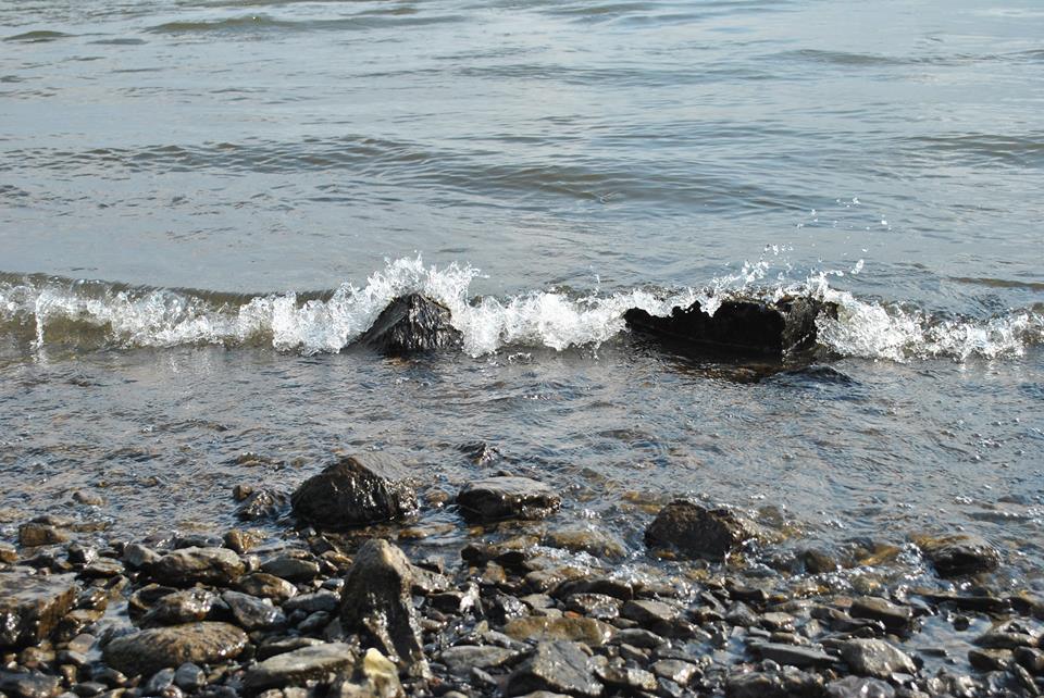 Eine kleine Welle am Rhein