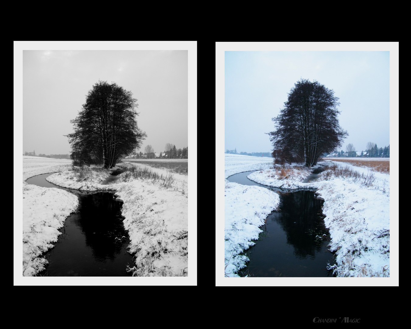 Eine kleine Winter Collage