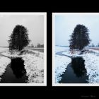 Eine kleine Winter Collage