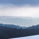 Eine kleine Winter Wanderung nahe Scheidegg