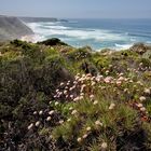 Eine Klippenwanderung in der Algarve-Region in Portugal