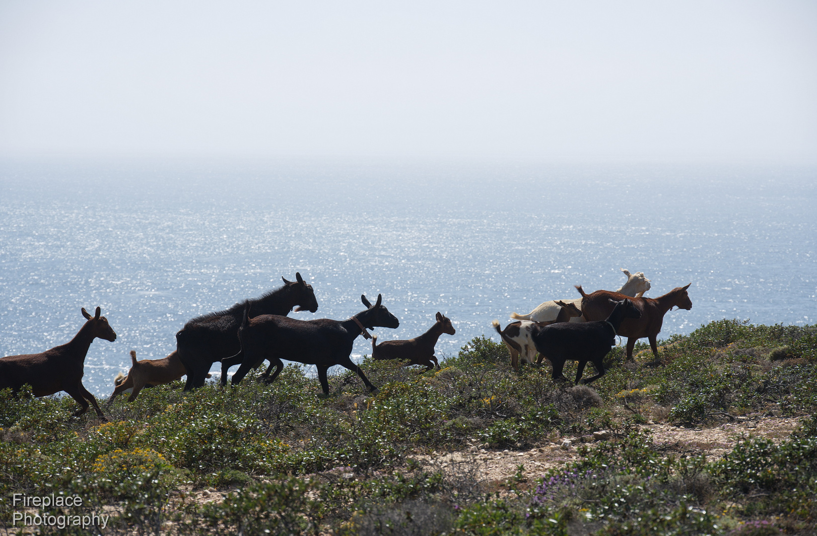 Eine Klippenwanderung in der Algarve-Region in Portugal