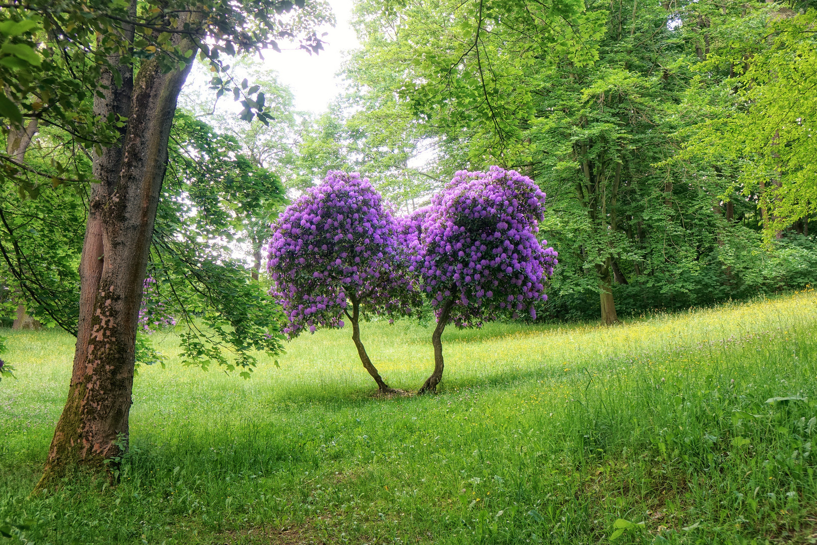 eine klitzekleine Stadtparkrunde ... 