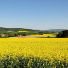 Eine Komposition aus gelb, grün und blau