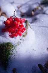 Eine Komposition aus Licht und Schatten