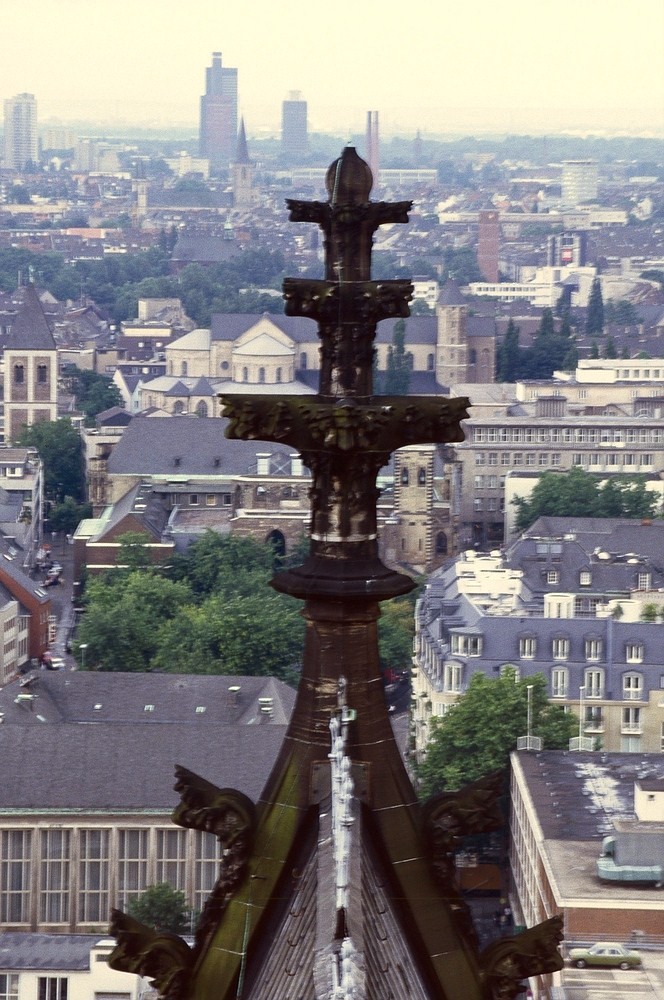 Eine Kreuzblume des Kölner Doms