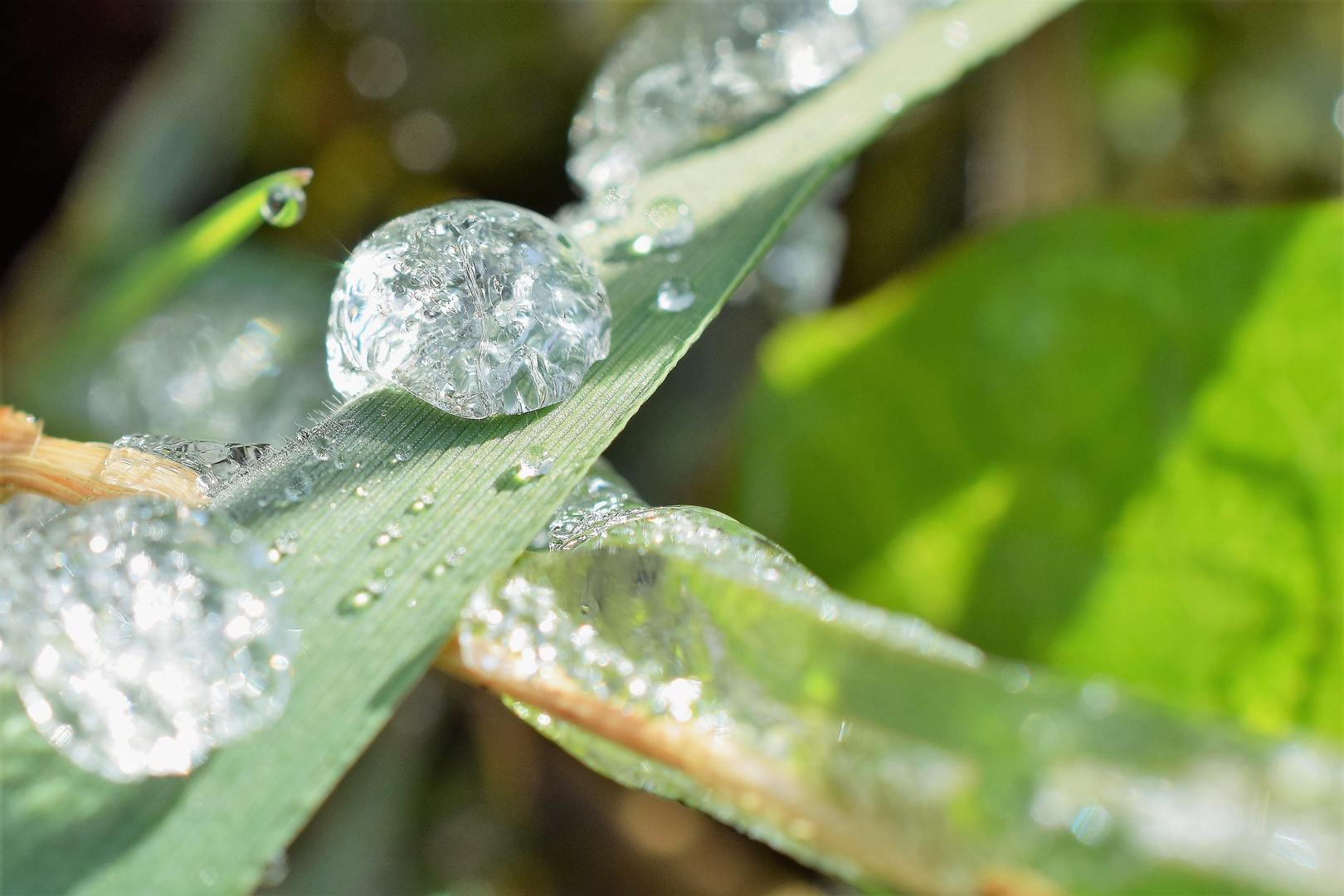 Eine Kugel Eis Foto & Bild | sonstiges, jahreszeiten, frühling Bilder