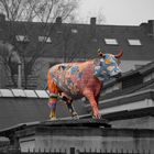 Eine Kuh auf dem Dach