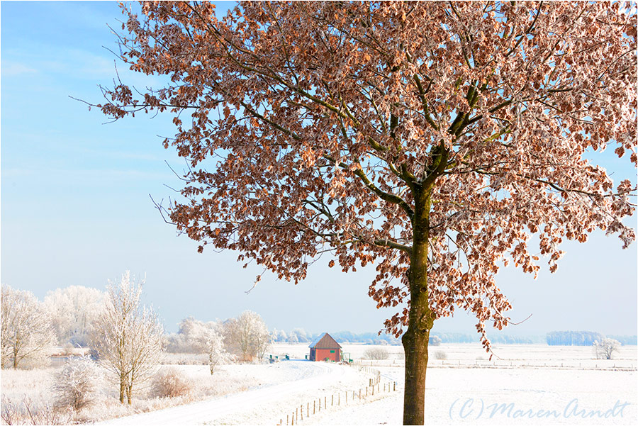 Eine kurze Geschichte vom Winter im Teufelsmoor...