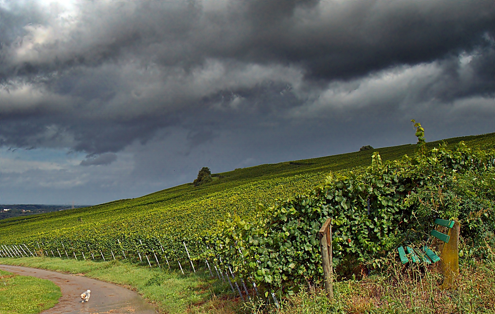 ~~~ eine kurze Regenpause ~~~