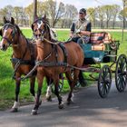 eine Kutschfahrt ...