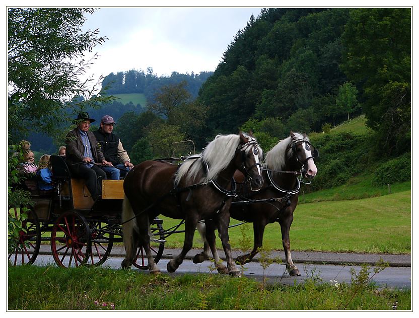 Eine Kutschfahrt, die ist lustig ...