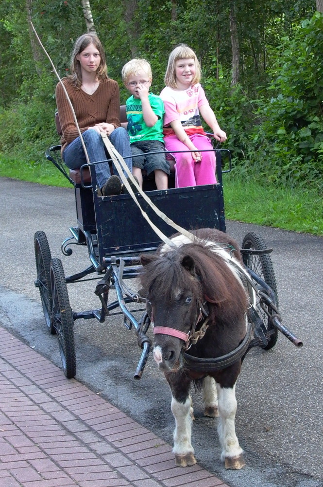 Eine Kutschfahrt, die ist lustig ...