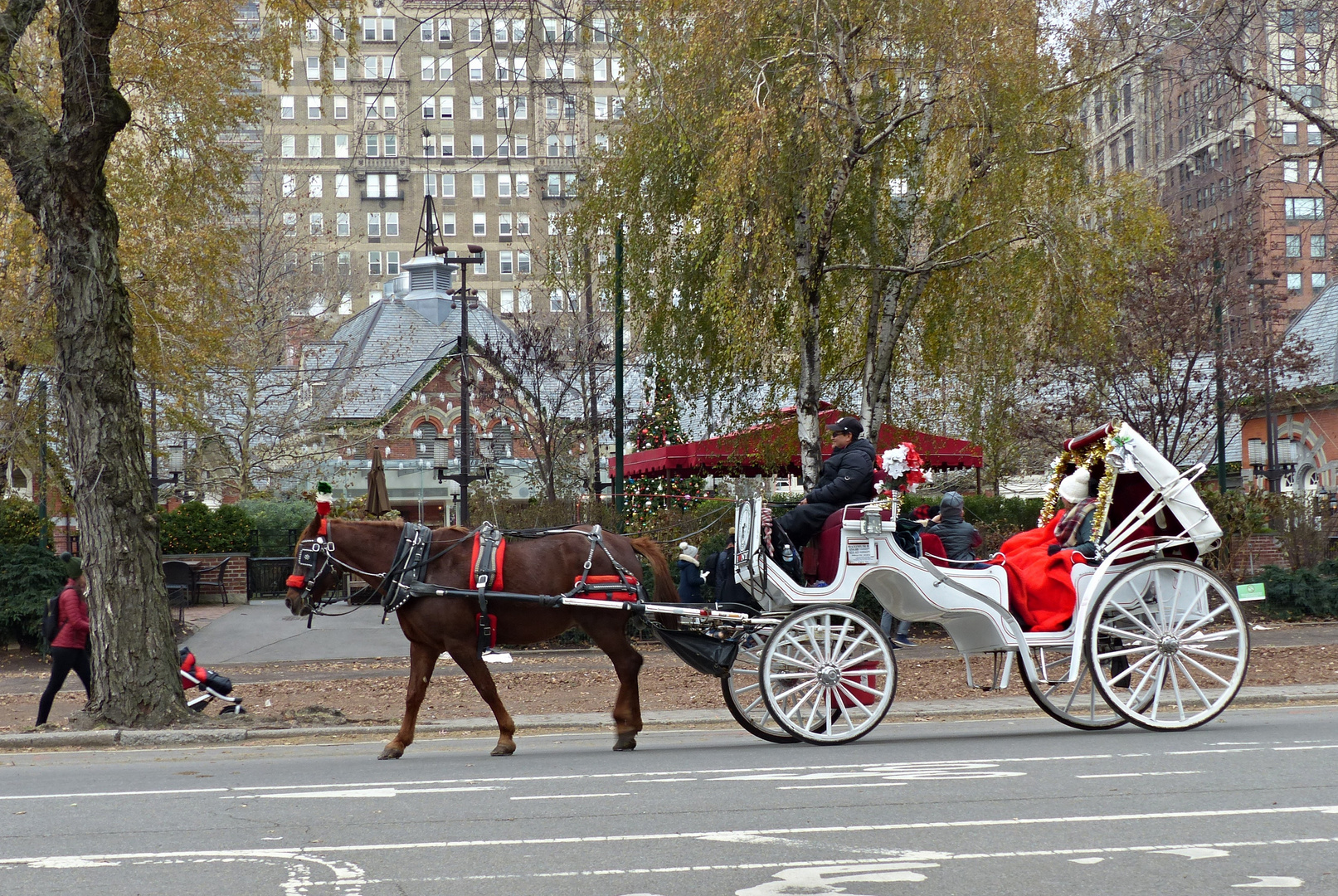 Eine Kutschfahrt durch den Central Park