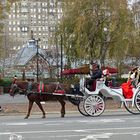 Eine Kutschfahrt durch den Central Park