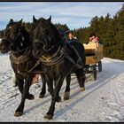 Eine Kutschfahrt im Winter ist auch was schönes