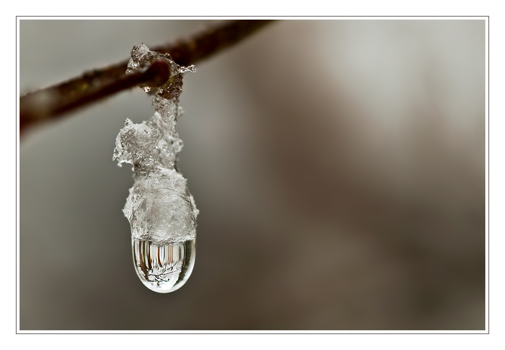 Eine Lampe im Wald