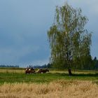 Eine Landpartie im Waldviertel