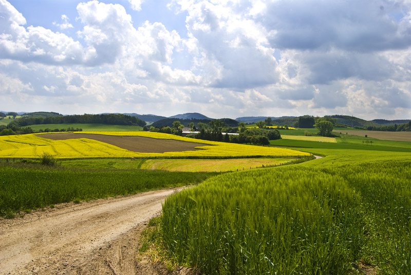 ...eine Landschaft...