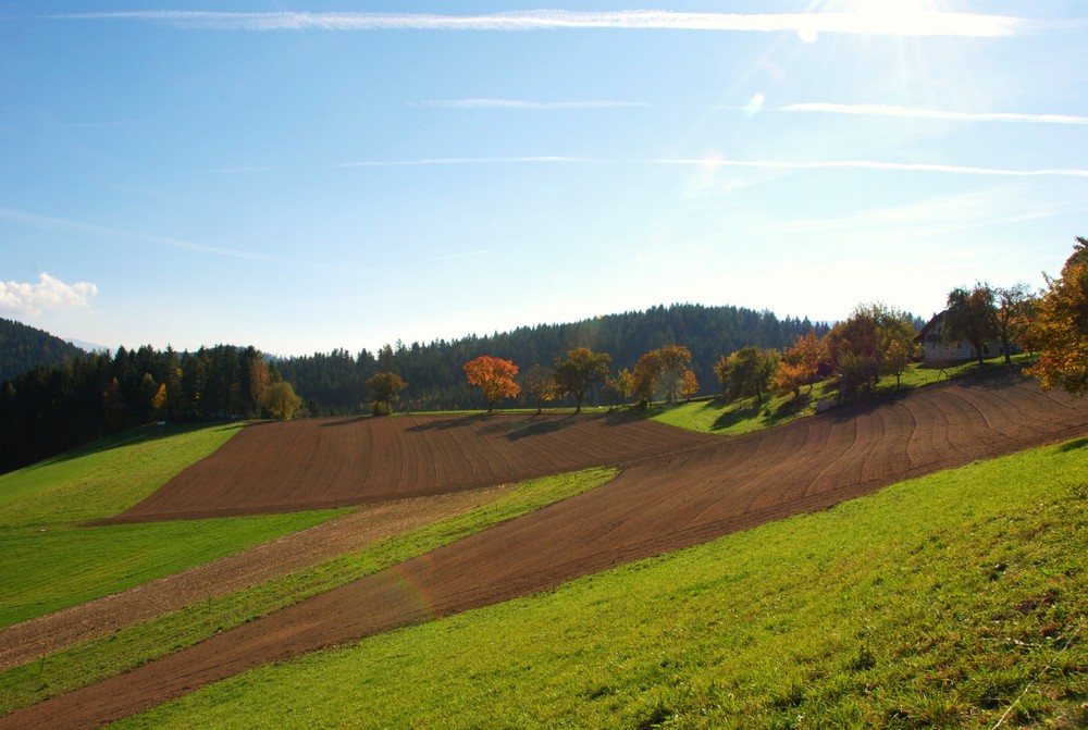 eine Landschaft geniesen.  " Herbstzeit "