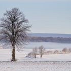 eine Landschaft im Winterschlaf