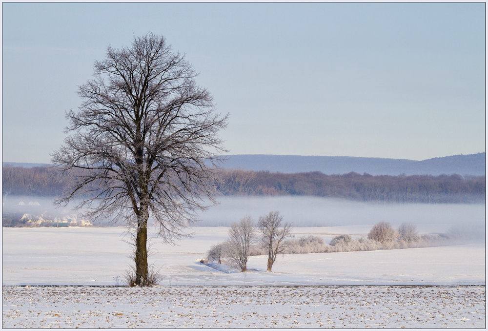 eine Landschaft im Winterschlaf