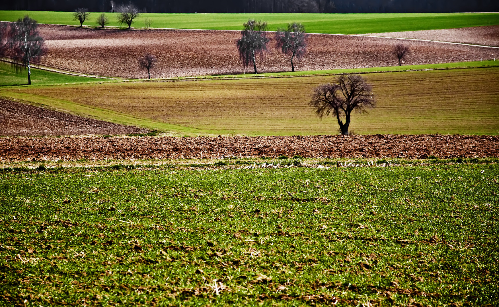 Eine Landschaft in Eppisburg