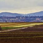 eine Landschaft mit zu erahnendem Sonnenlicht 