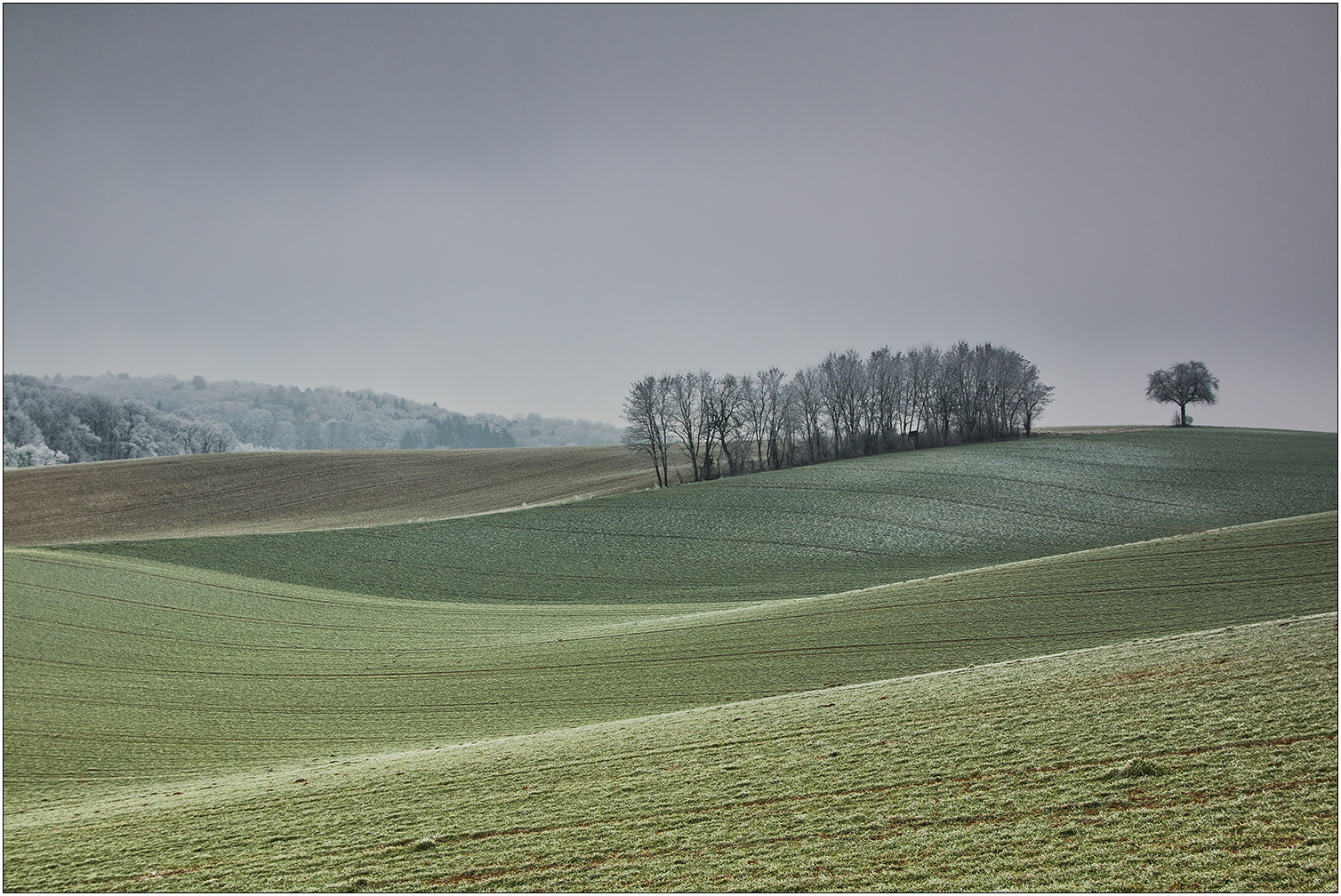 "Eine Landschaft swingt"