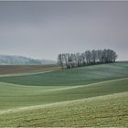 "Eine Landschaft swingt"