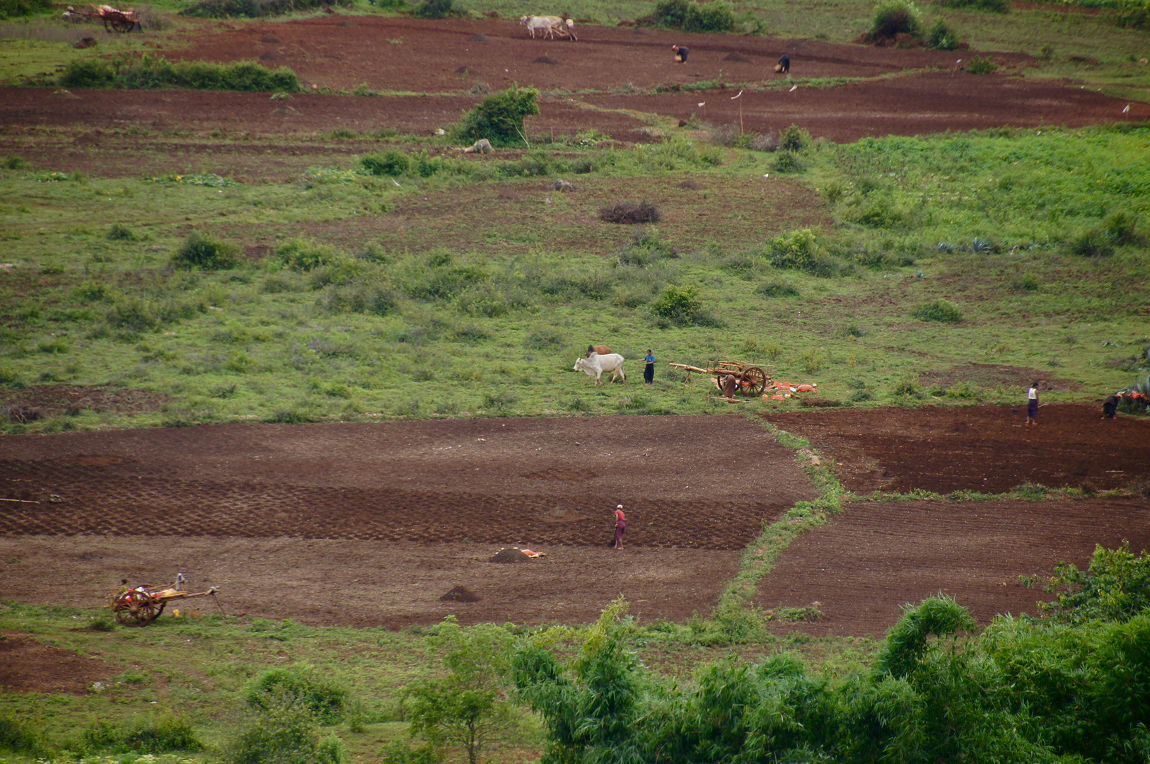 eine landschaft wie ein gemälde, burma 2011