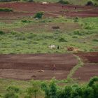 eine landschaft wie ein gemälde, burma 2011